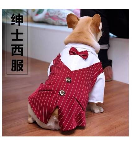 لباس طرح دیپلمات